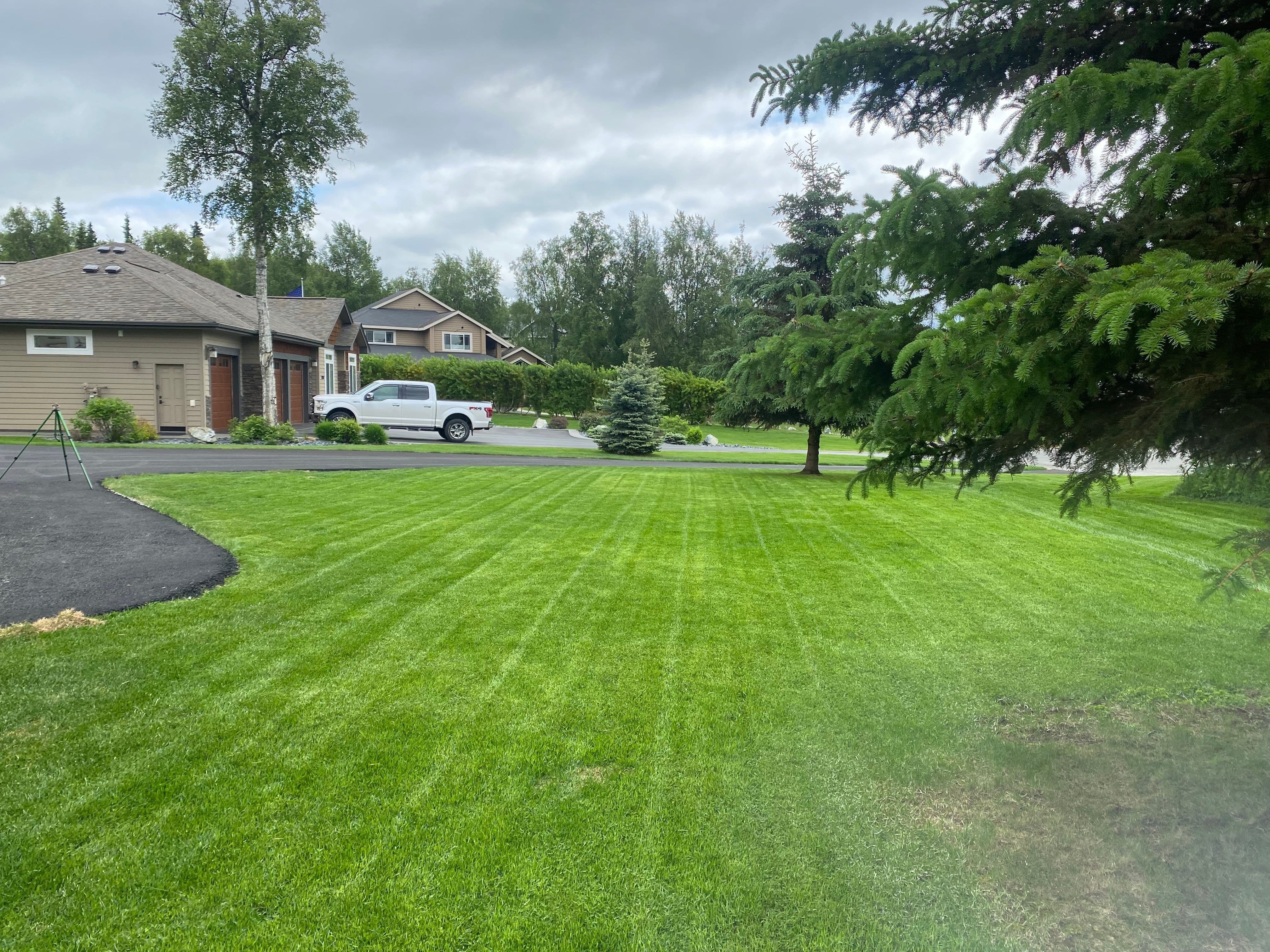 Great lawn mowing striping done by a reliable company.